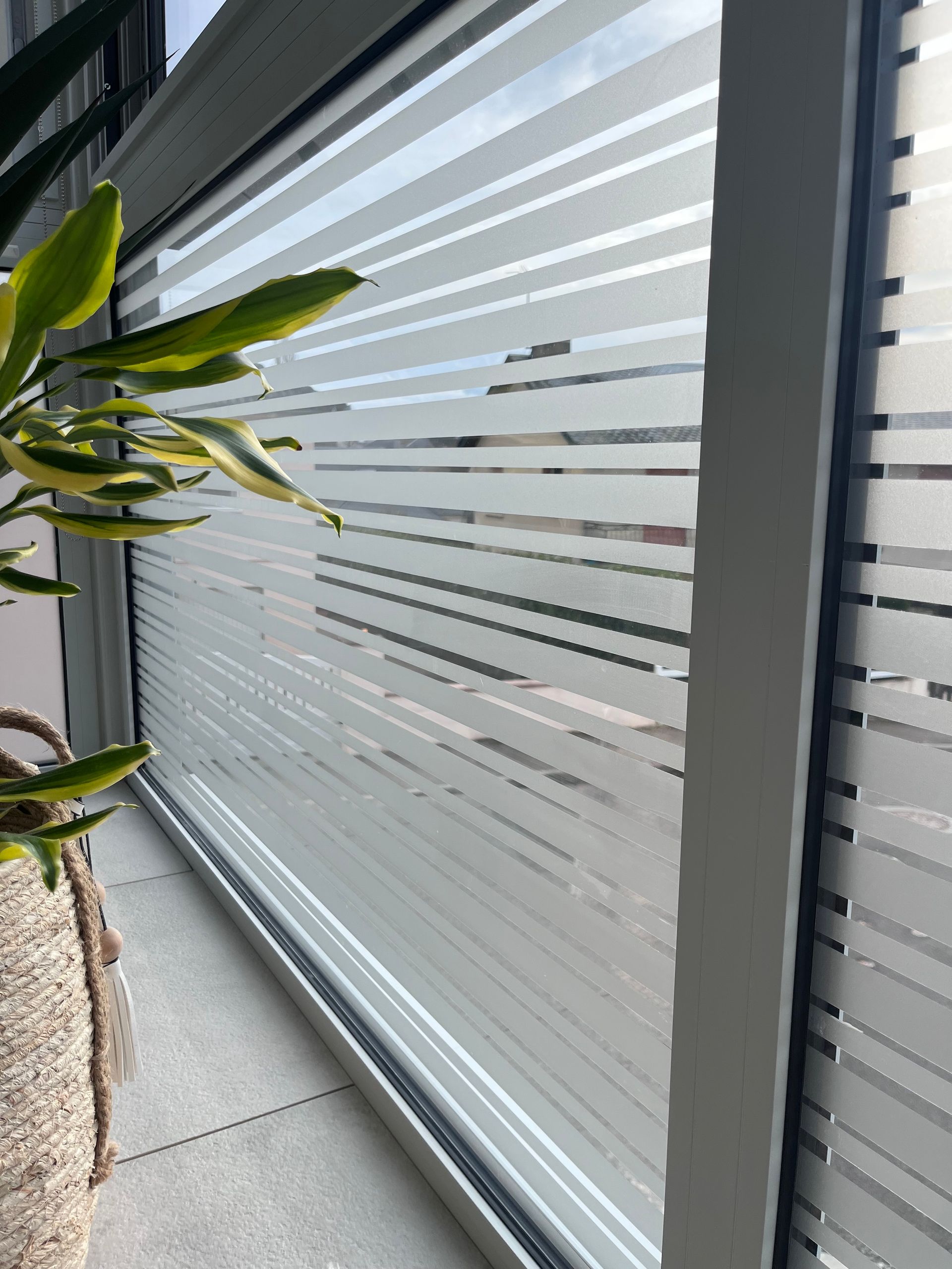 Une fenêtre dotée de bandes horizontales de film occultant dépoli, partiellement masquée par une plante verte dans un pot texturé.