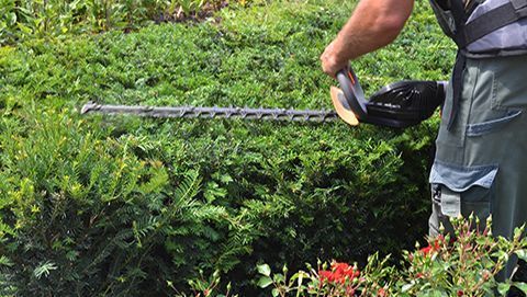 Garten und Landschaftspflege