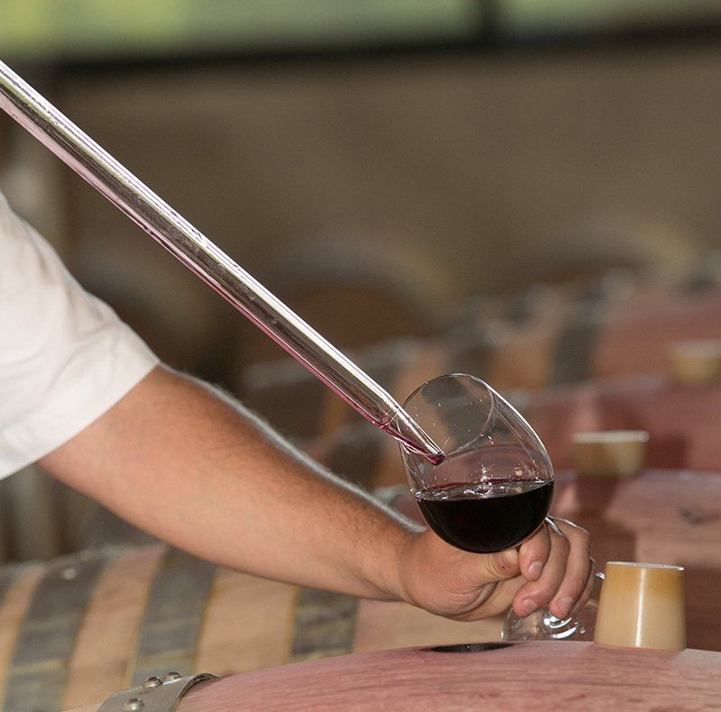 dégustation œnologique