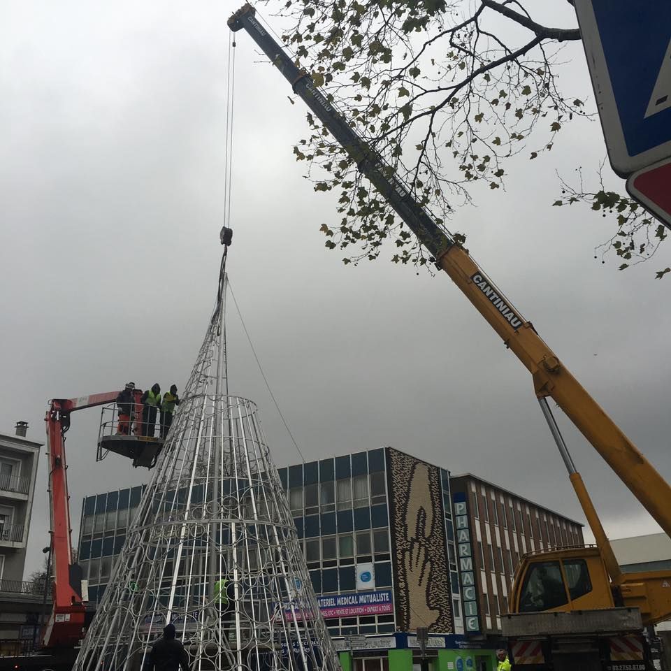 Une grue soulève un arbre de Noël du sol.