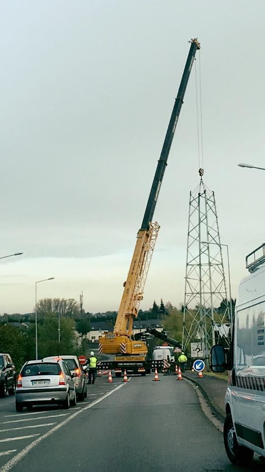 Une grue est levée du bord d'une route.