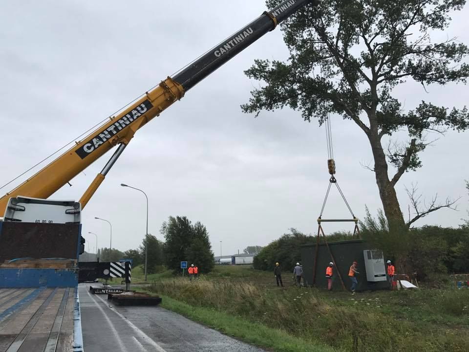 Une grue est levée du bord d'une route.