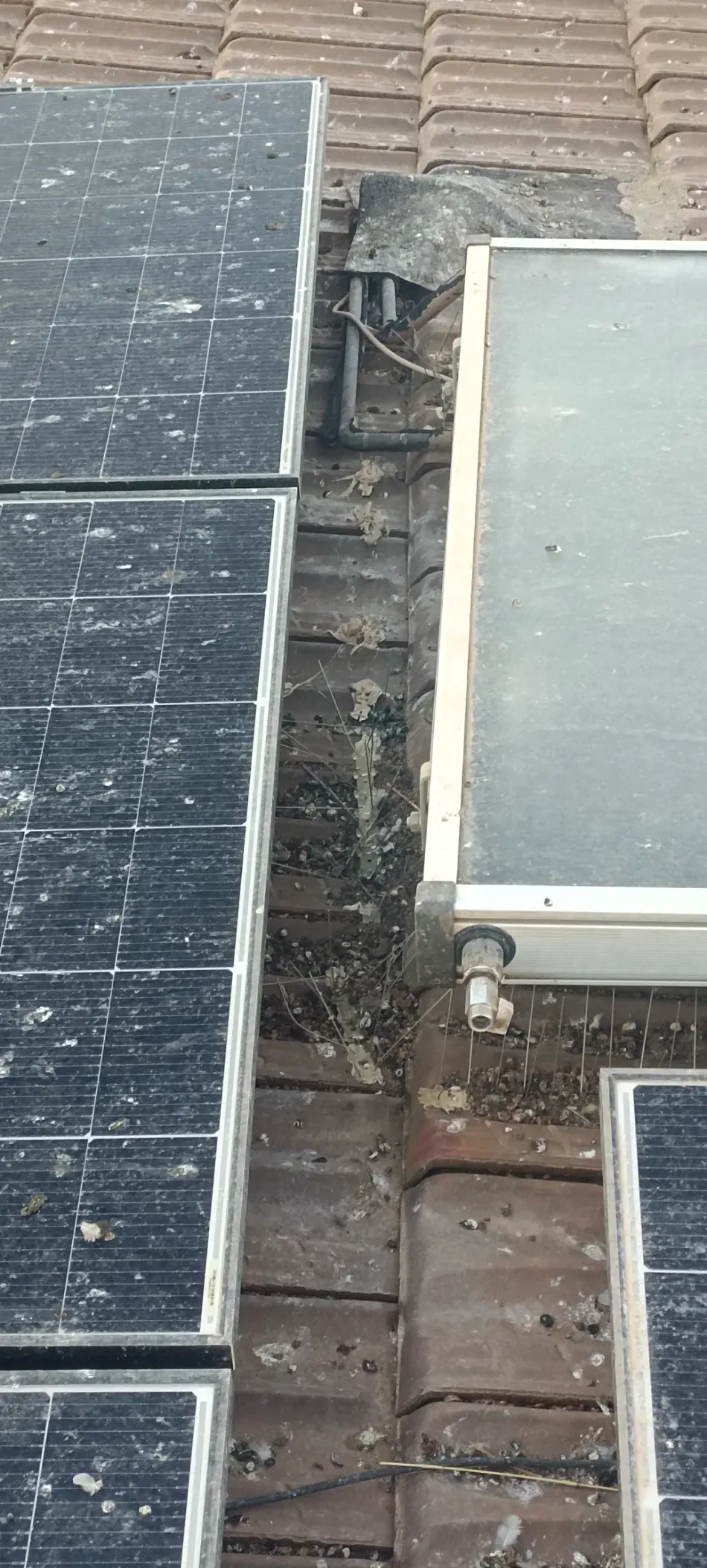 Paneles solares instalados en un tejado junto a una claraboya o ventilación de color claro.