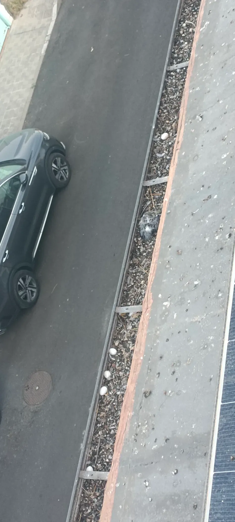 Vista aérea de un coche negro aparcado junto a un bordillo y una acera con un canal de drenaje.