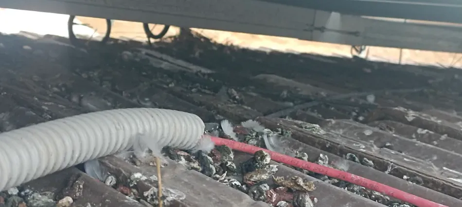 Manguera corrugada y cable rojo tirados sobre un piso o techo quemado y cubierto de escombros.