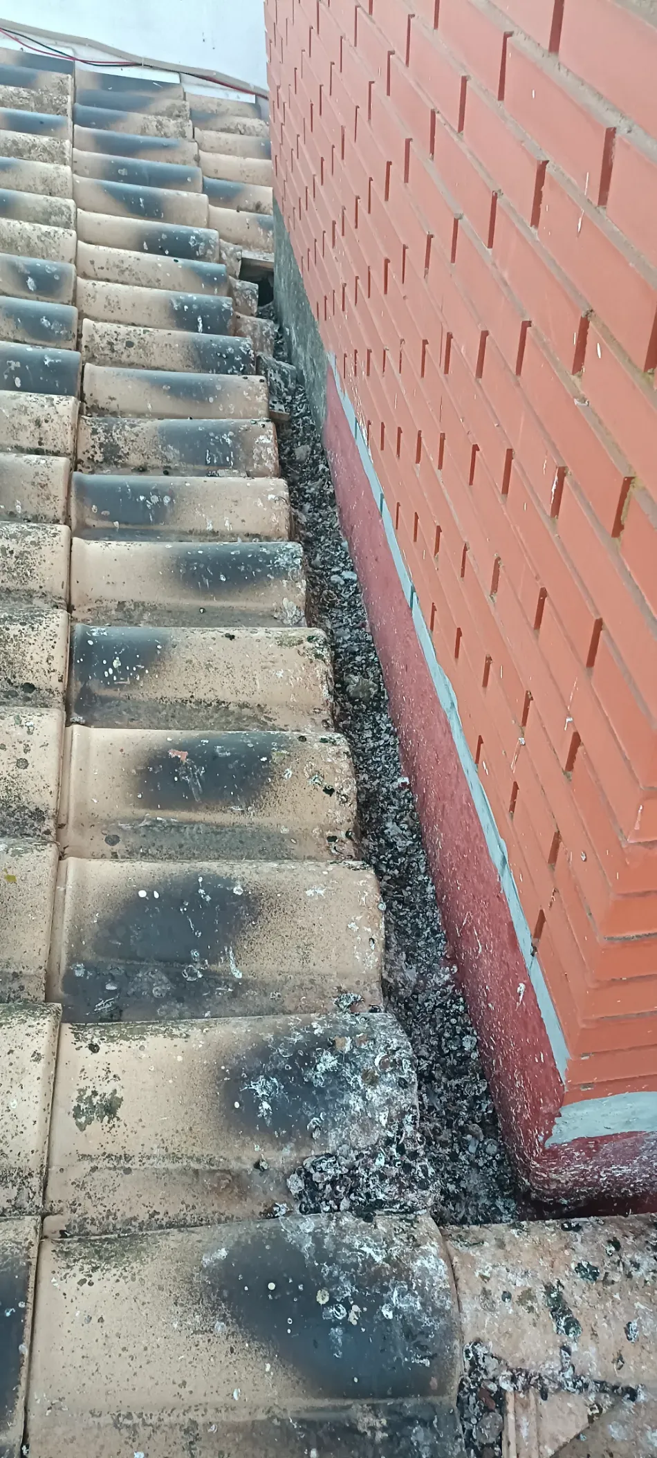 Estrecha escalera exterior junto a una pared de ladrillo rojo, con manchas oscuras y suciedad en los escalones.