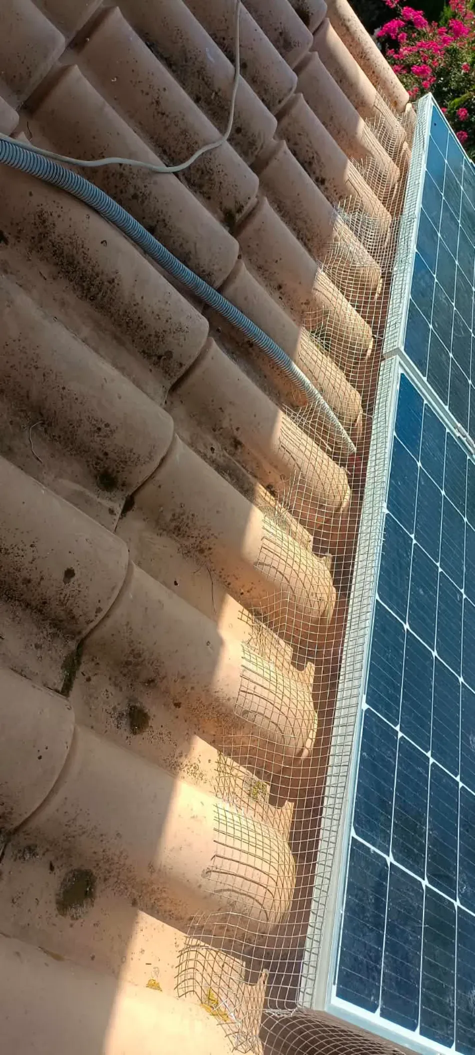 Techo con tejas de terracota junto a paneles solares bajo la luz del sol.