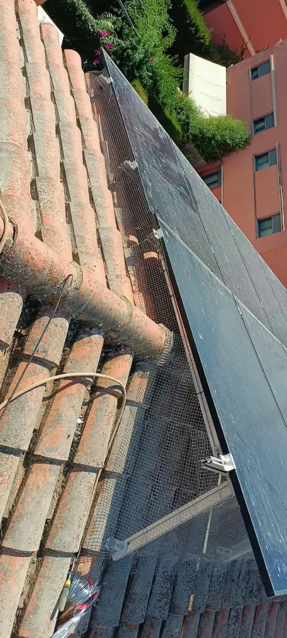 Azotea con tejas de terracota y un tejado inclinado gris junto a un edificio de ladrillo y árboles.
