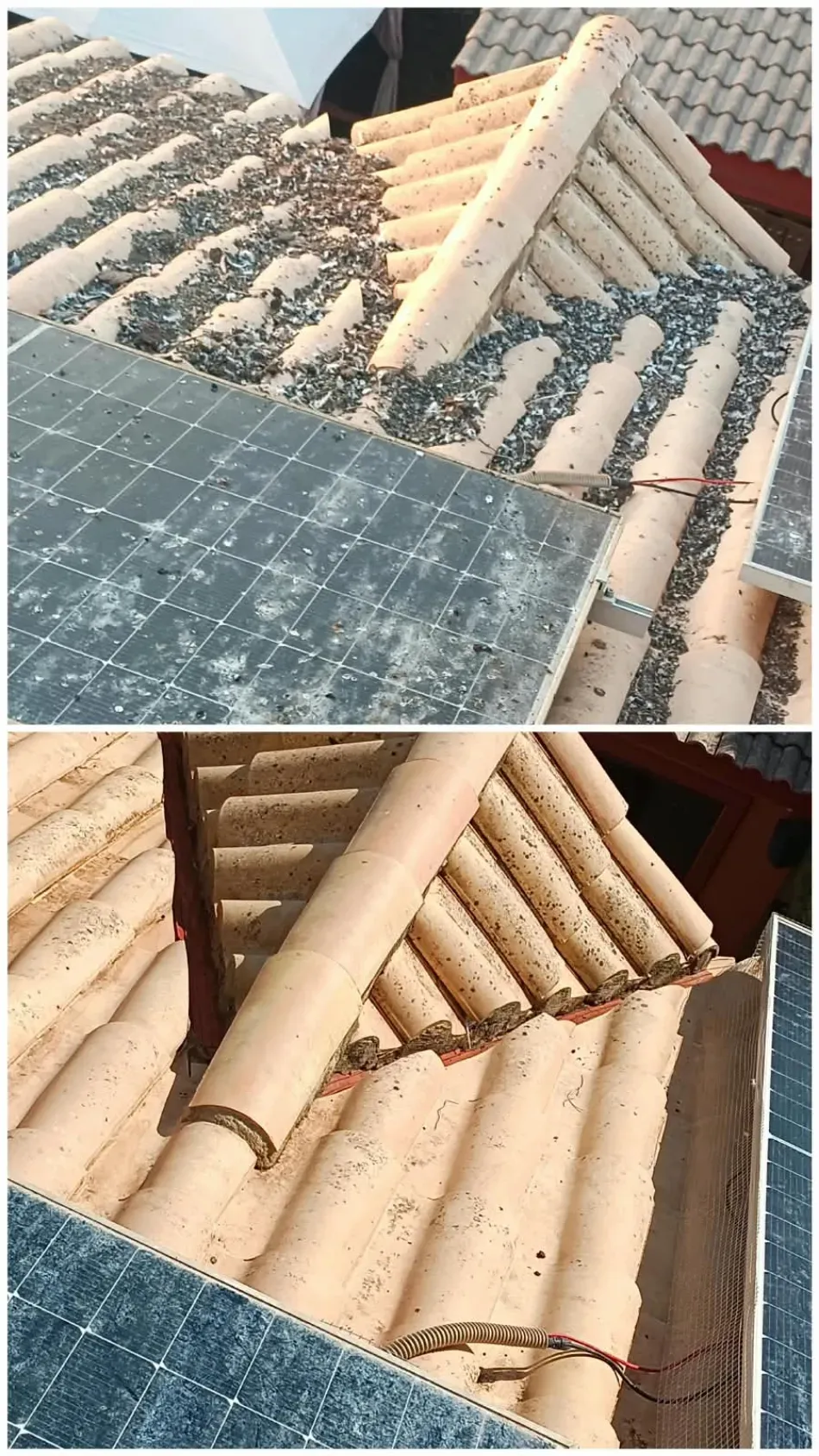 Paneles solares y tejas parcialmente cubiertos de arena o escombros tras una tormenta de polvo.