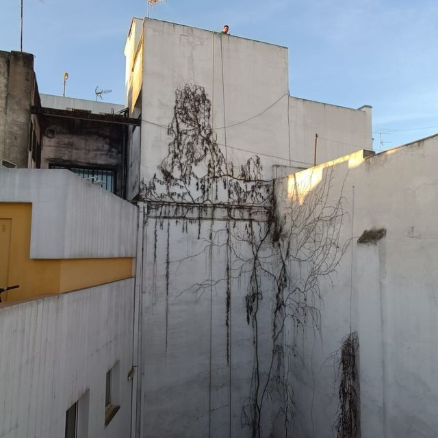 Exterior de edificios blancos con un mural abstracto oscuro y enredaderas. Cielo azul al fondo.