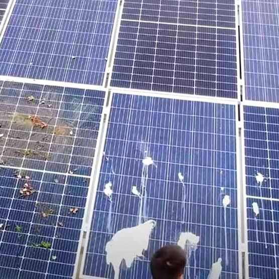 Se están limpiando paneles solares con residuos blancos; persona en el centro inferior.