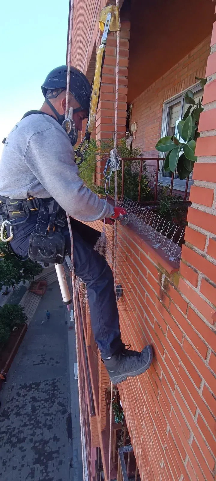 Un trabajador con equipo de seguridad desciende en rappel por la fachada de un edificio de ladrillo rojo.