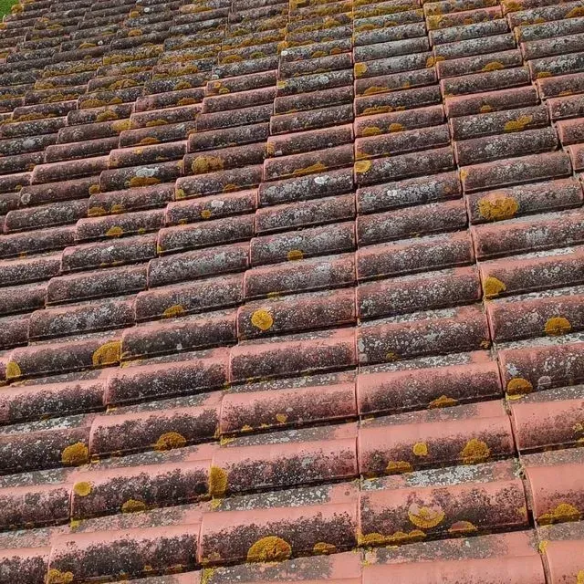 Tejado de tejas rojas con crecimiento de líquenes y musgo.