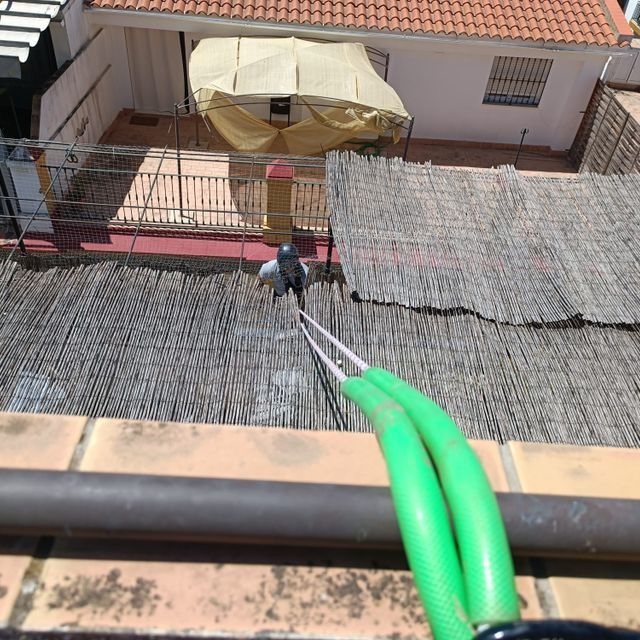 Una paloma está posada sobre una cerca de cañas, mangueras verdes en primer plano, edificios al fondo.