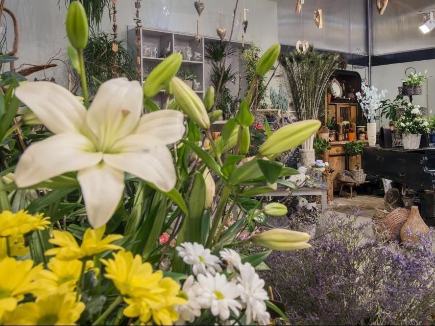 White lilies and yellow daisies in a flower shop with other bouquets and decor in the background