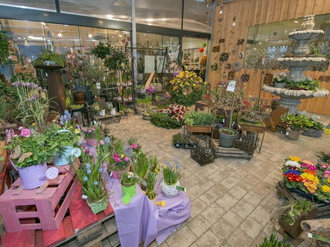 Flower shop interior with potted plants, bouquets, and colorful floral displays on tiled floor