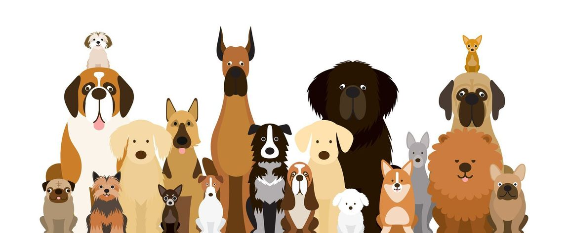 Illustrations de chiens de différentes races