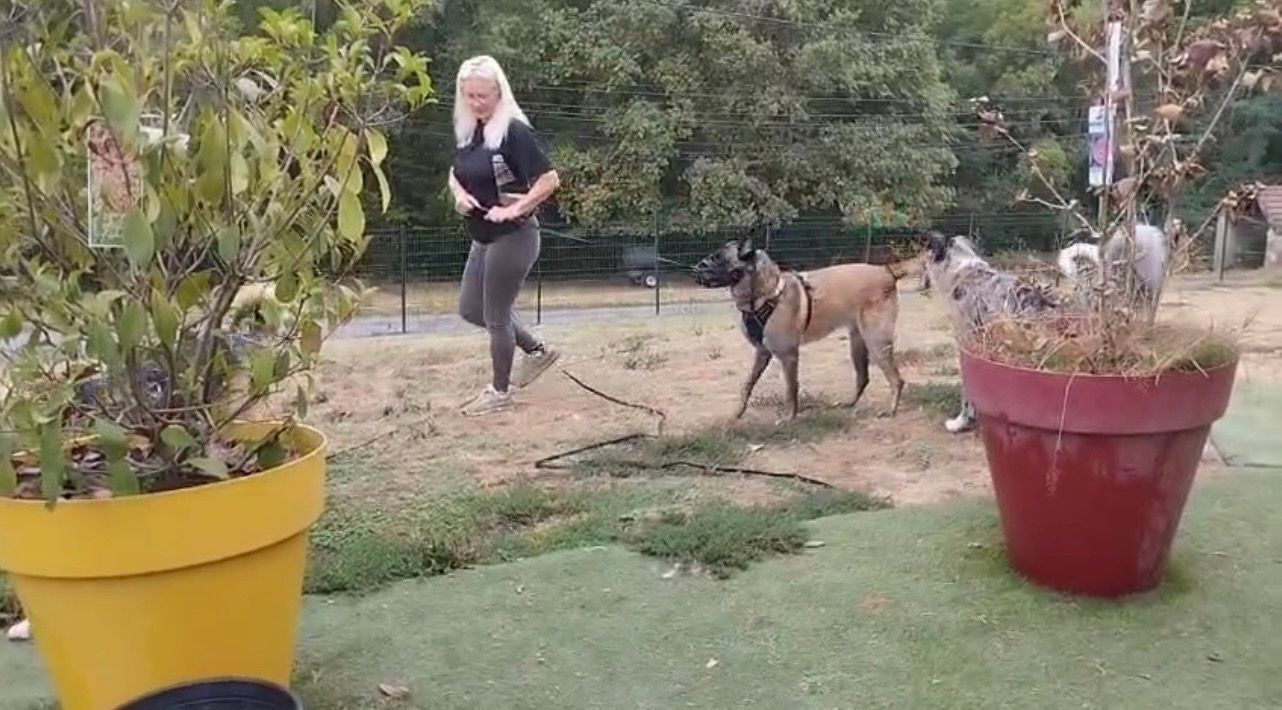 Éducatrice canin avec un chien en laisse