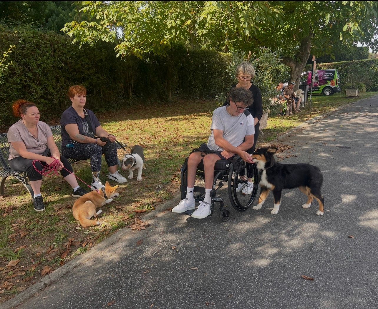 Des personnes assises sur des bancs avec plusieurs chiens en laisse le long d'un chemin ombragé près des arbres