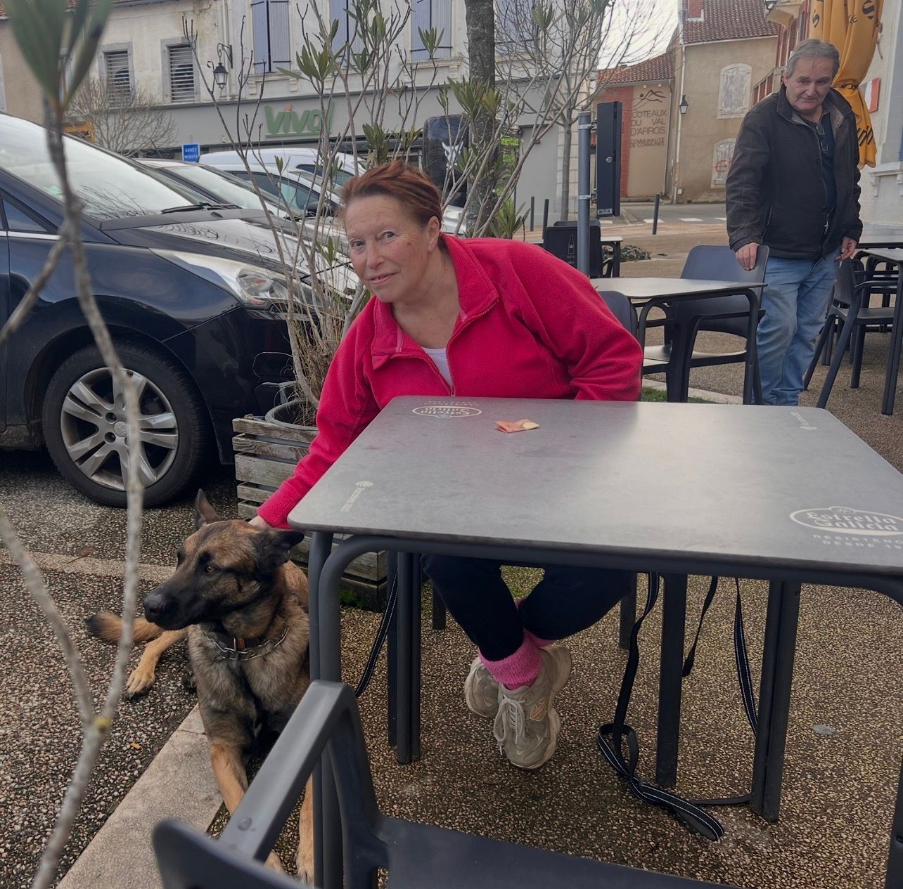 Deux chiens accompagnés d'une éductrice canine et du propriétaire