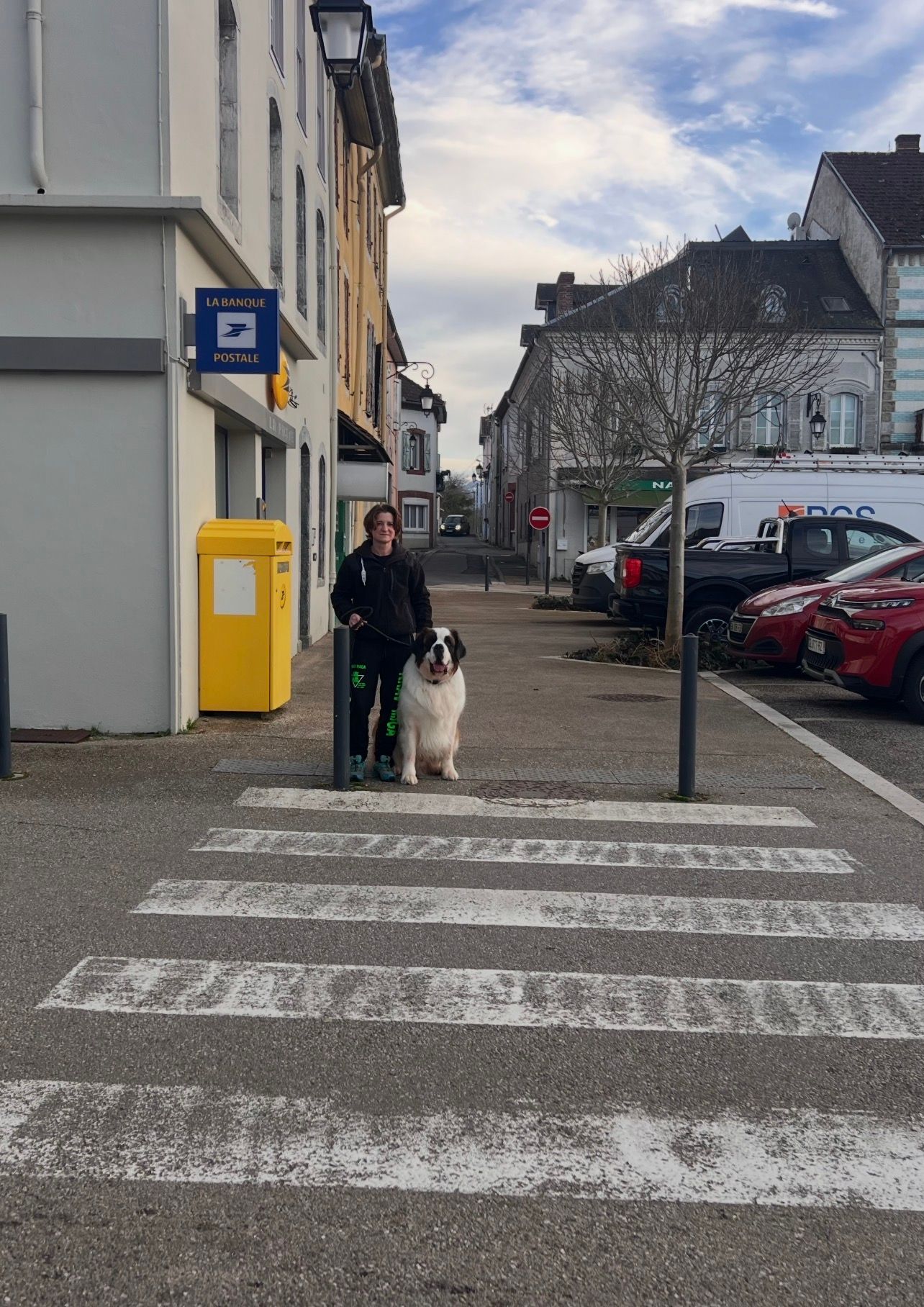 Un chien et sa maîtresse devant un passage piéton