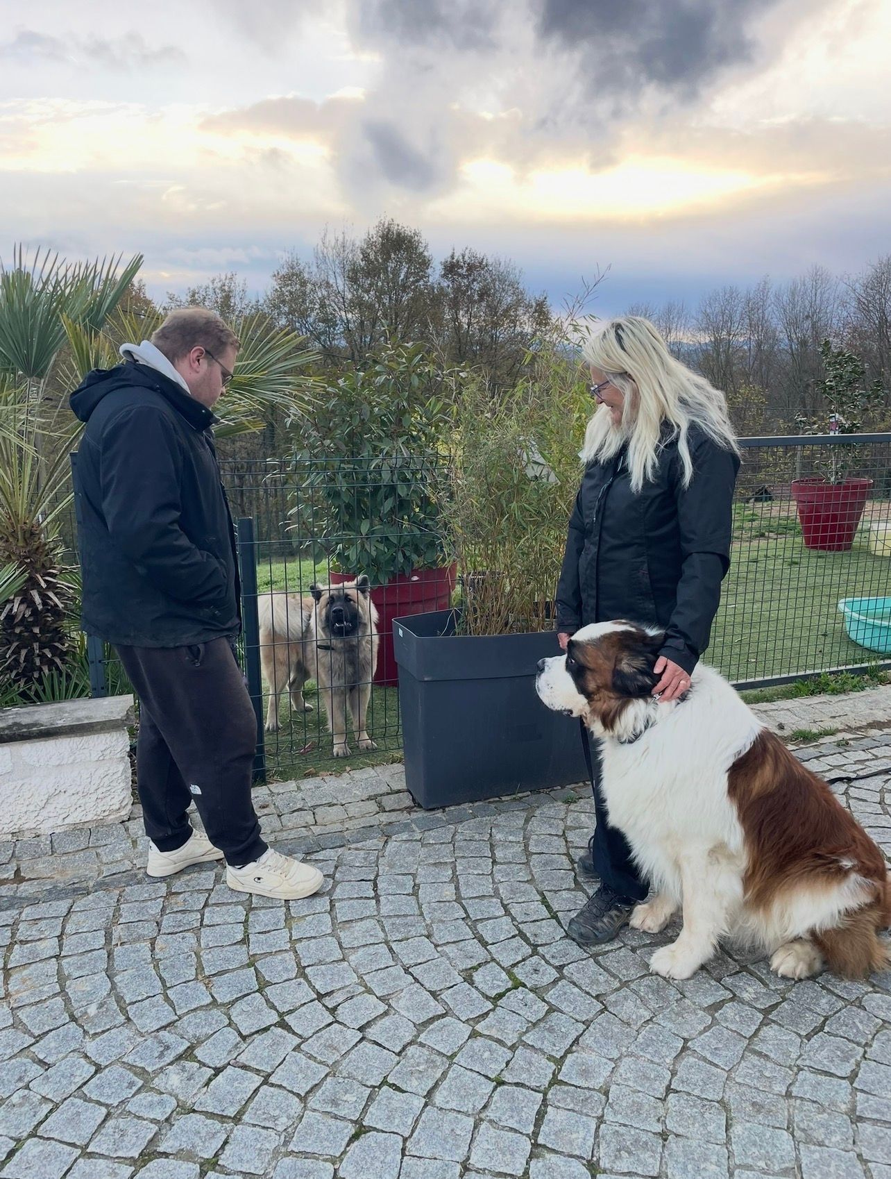 Deux personnes et deux chiens sur une terrasse pavée dans un jardin, un gros chien étant assis au premier plan