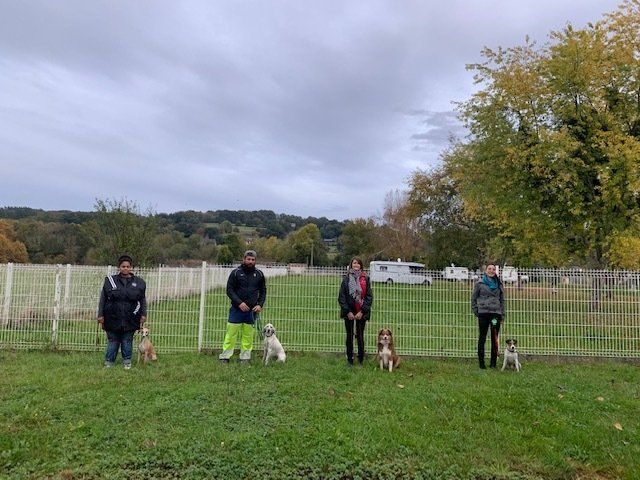 Quatre maîtres avec leur chien