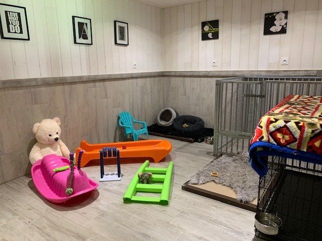 Des boxes avec coussin