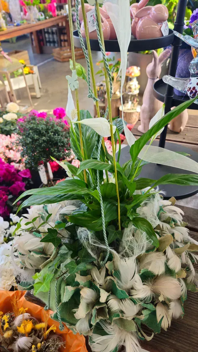 Landschaft mit sträuchern