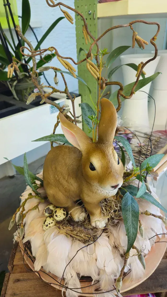 Baumschule Engelhardt