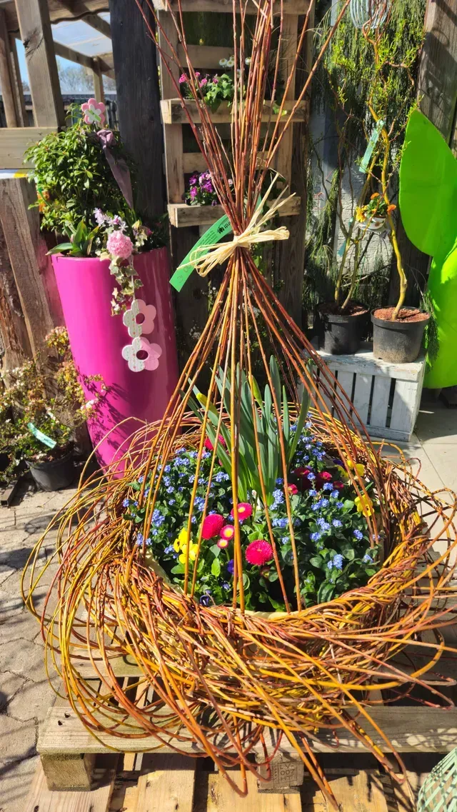 Baumschule Engelhardt