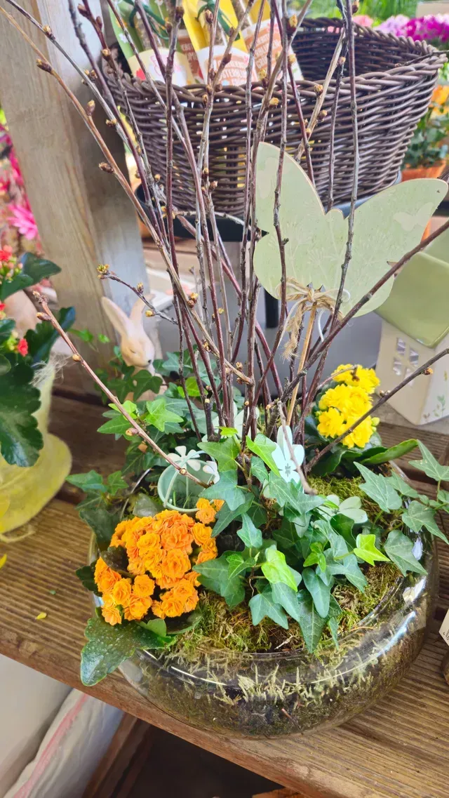 Baumschule Engelhardt