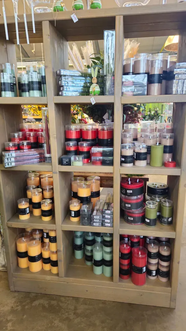 Baumschule Engelhardt