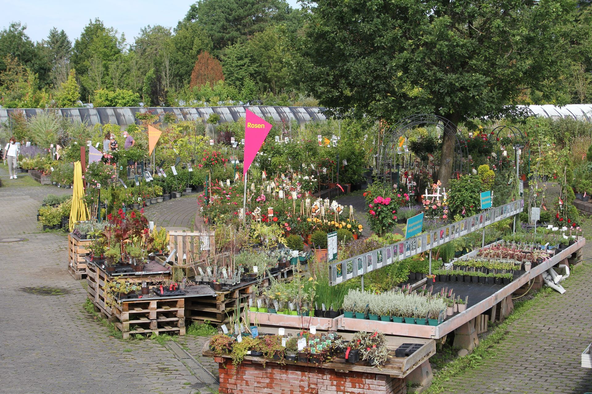 Baumschule Engelhardt