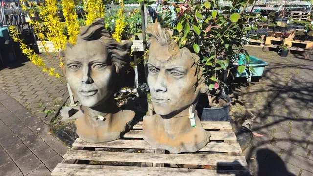 Landschaft mit sträuchern