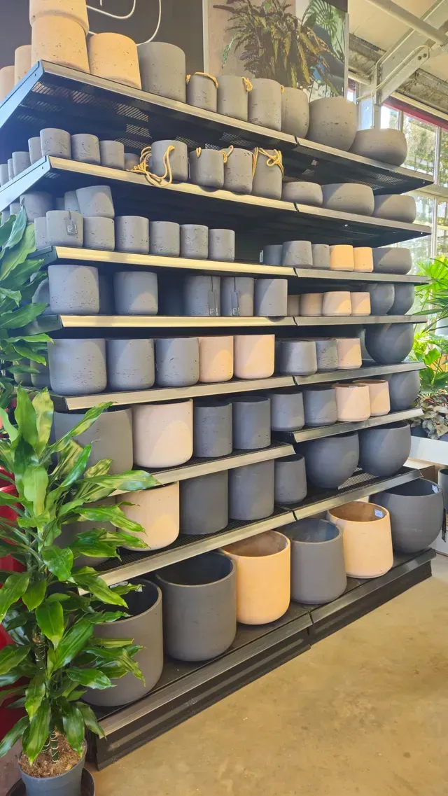 Baumschule Engelhardt