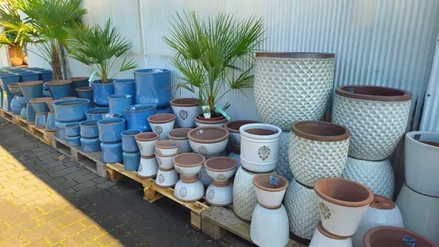 Landschaft mit sträuchern