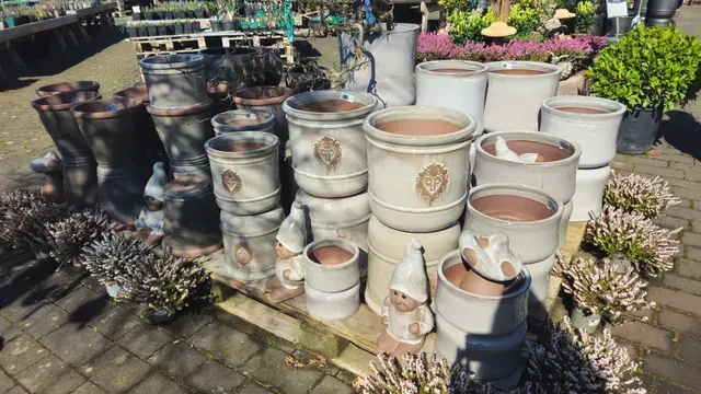 Baumschule Engelhardt