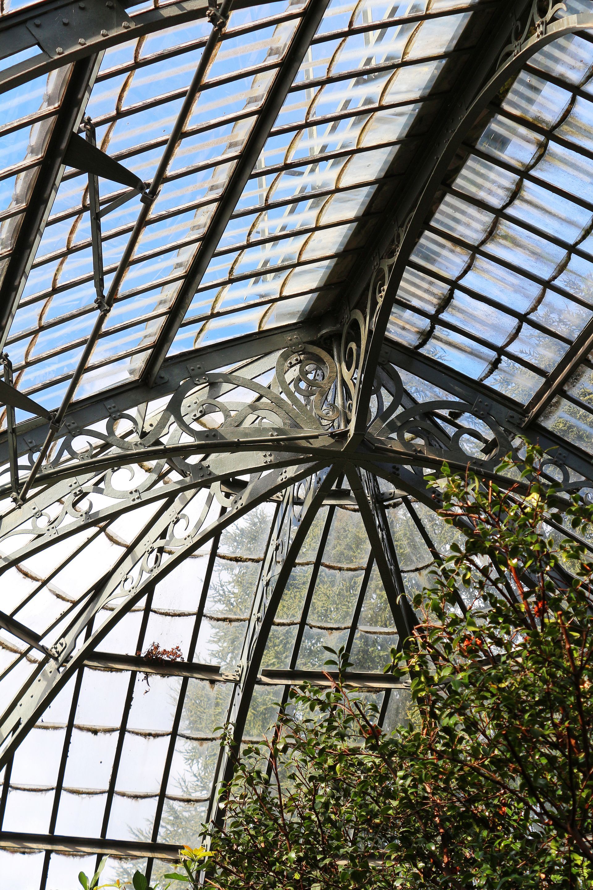 Toit de serre en verre avec structure métallique et lumière du soleil filtrée à travers les vitres