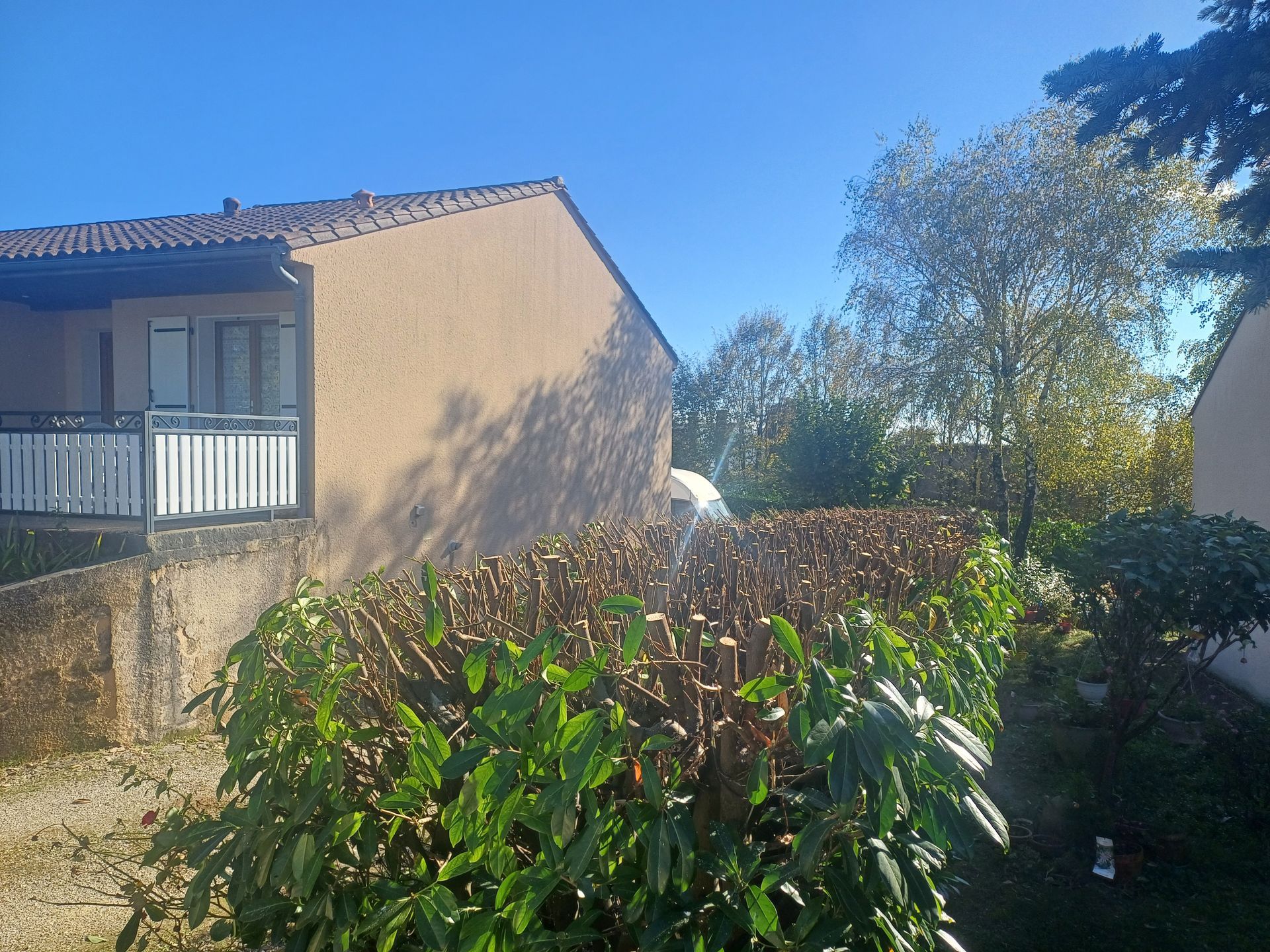 Arbre présent dans un jardin