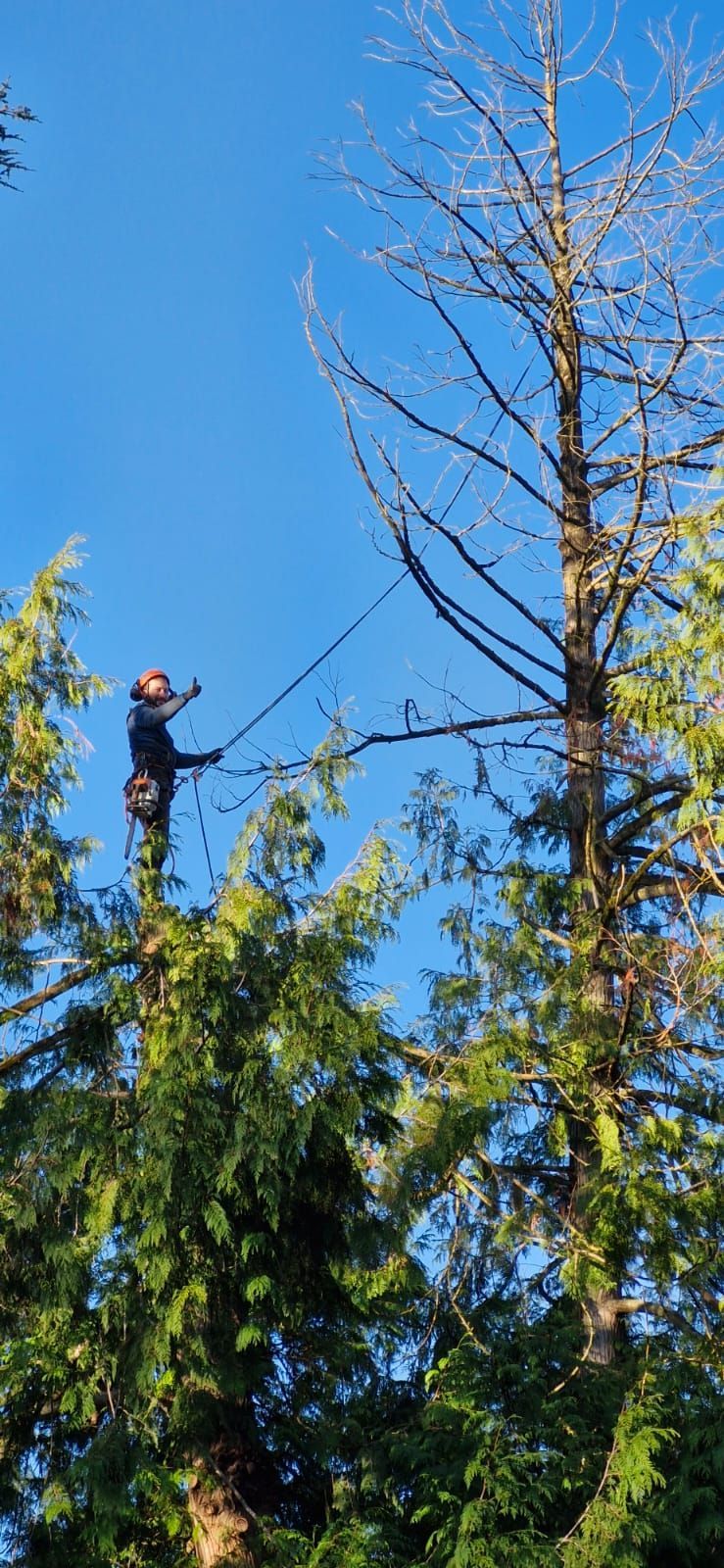 Un membre de l'équipe prêt à aller élaguer des arbres
