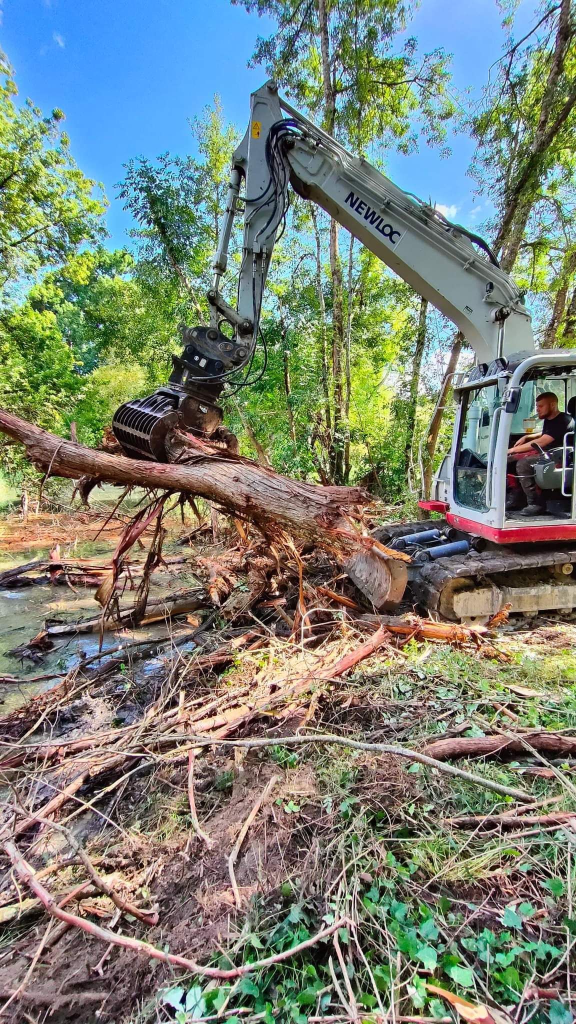 Un membre de l'équipe en train de ramasser les bouts d'arbres qui ont été abattus
