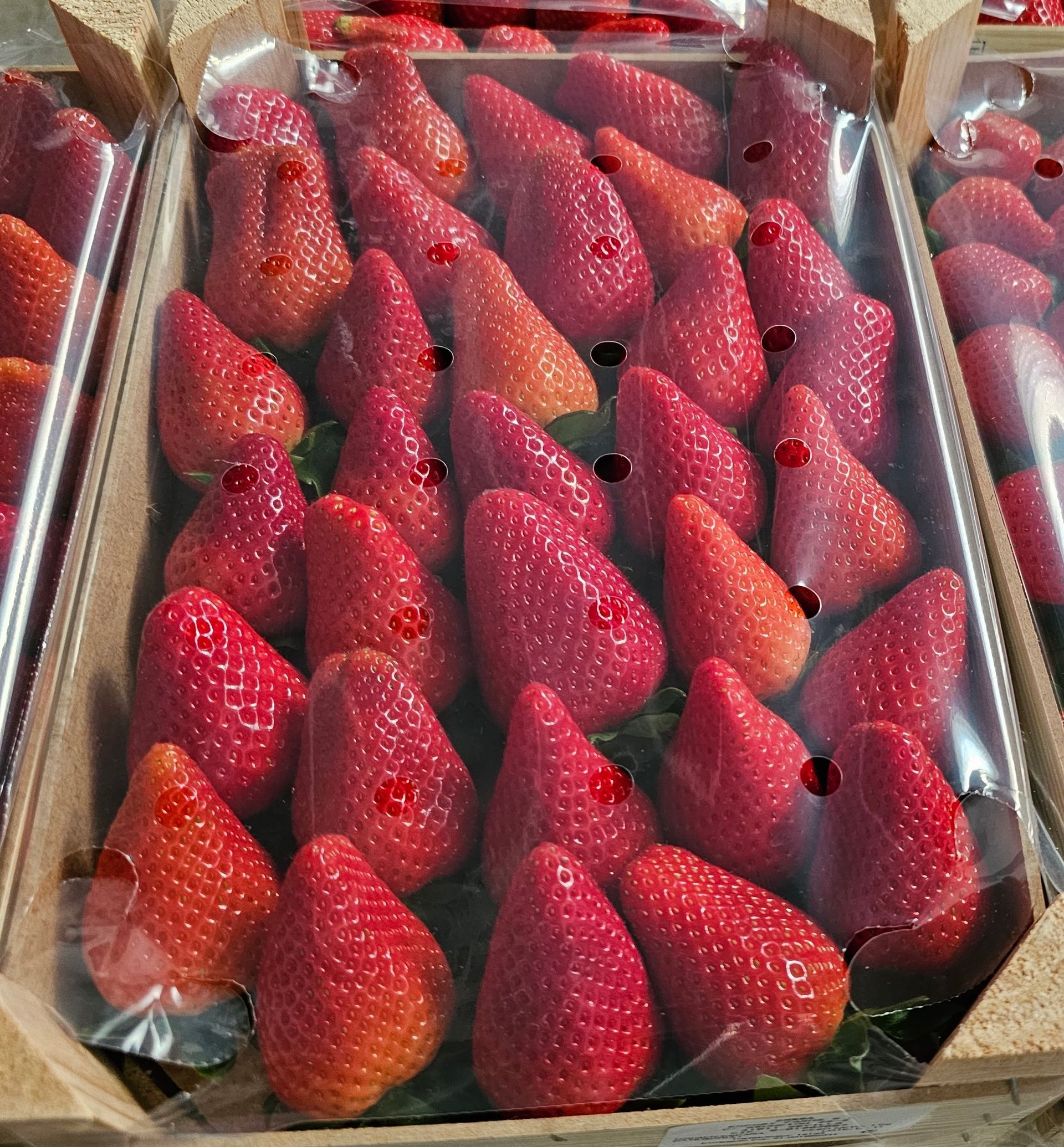 Fresas frescas en un recipiente de plástico transparente. Bayas rojas con tallos verdes bien compactas.
