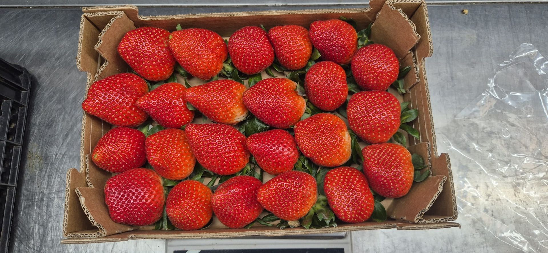 Una caja de cartón llena de fresas rojas maduras, apoyada sobre una superficie gris.