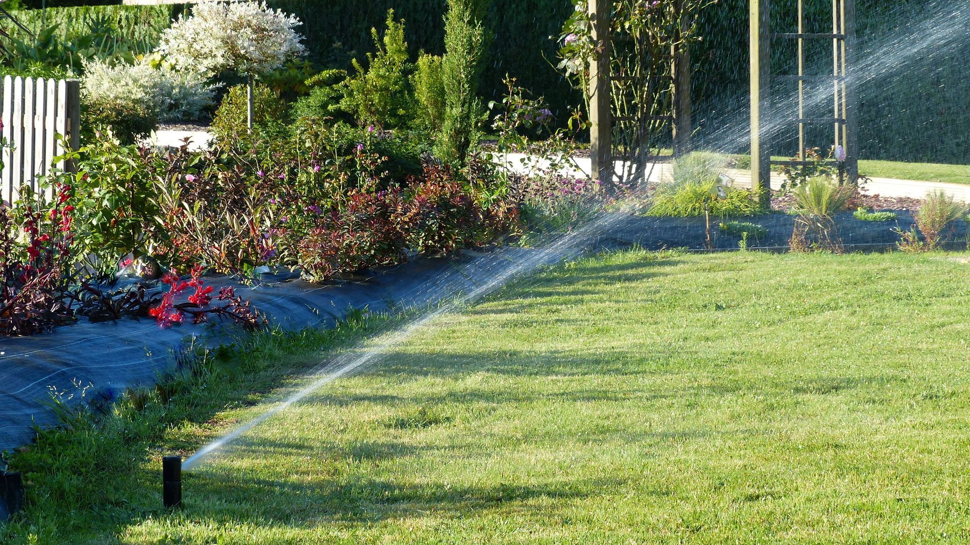 Arrosage automatique d'une pelouse et parterre de fleurs.