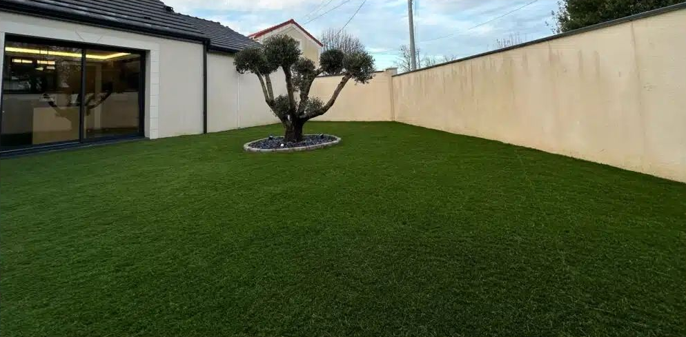 Un arbre au milieu d'une pelouse.