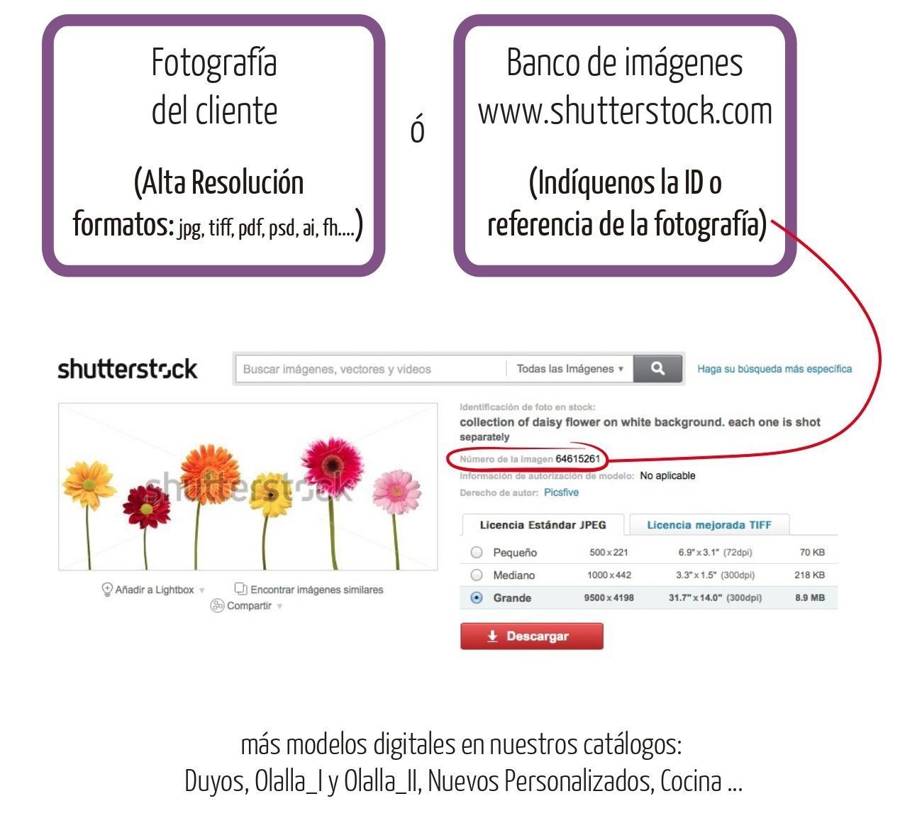 Una foto de flores en un sitio web llamado Shutterstock