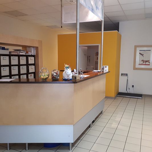 Willkommen bei der Kleintierpraxis Regensburg von Dr. med. vet. Malle ... | Margaretenstraße 16 | 93047 Regensburg | Telefon: 0941.57510 | Telefax 0941.53061 | Gesundes Tier. Glücklicher Mensch.