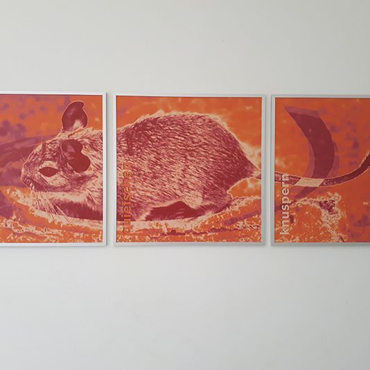 Willkommen bei der Kleintierpraxis Regensburg von Dr. med. vet. Malle ... | Margaretenstraße 16 | 93047 Regensburg | Telefon: 0941.57510 | Telefax 0941.53061 | Gesundes Tier. Glücklicher Mensch.