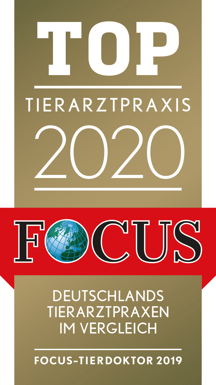 Siegel Tierarzt 2020